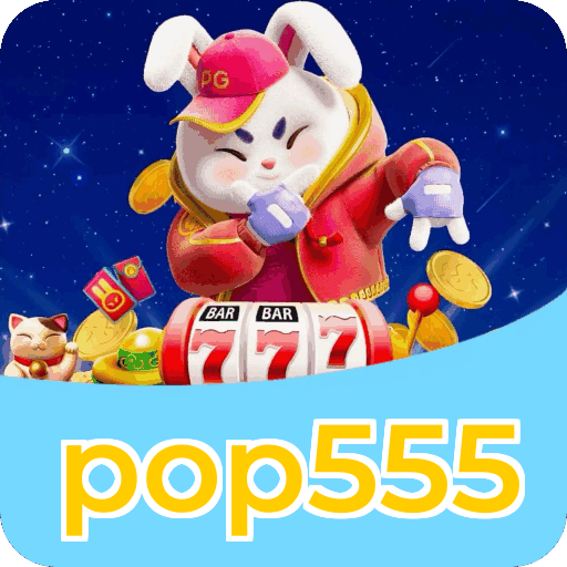 Métodos de pagamento aceitos na pop555